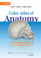 Color Atlas of Anatomy 7th.pdf